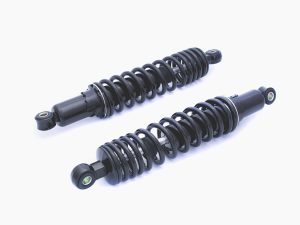 BSA Shocks